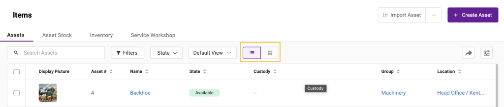 The asset listing page showing the item view options.