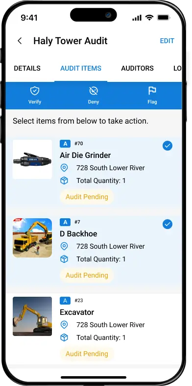audit items