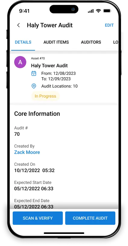 audit details
