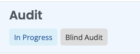 Audit detail page showing the Blind badge.