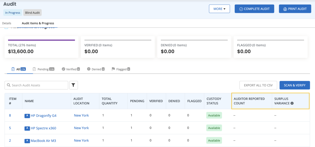Audit detail page showing the audited reported count and surplus varianace columns.