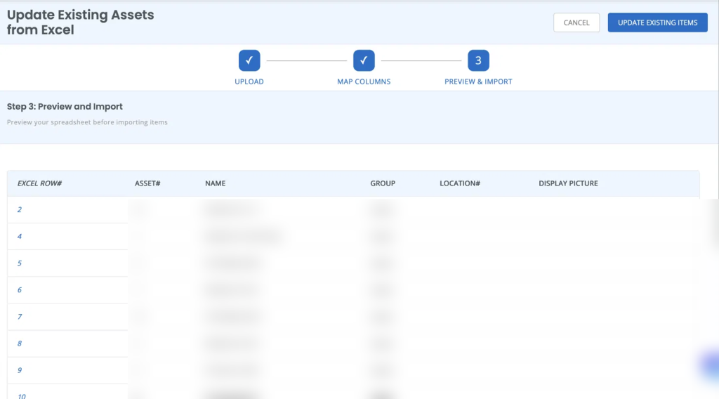 Update Bulk Asset(s) page showing the preview and import section.
