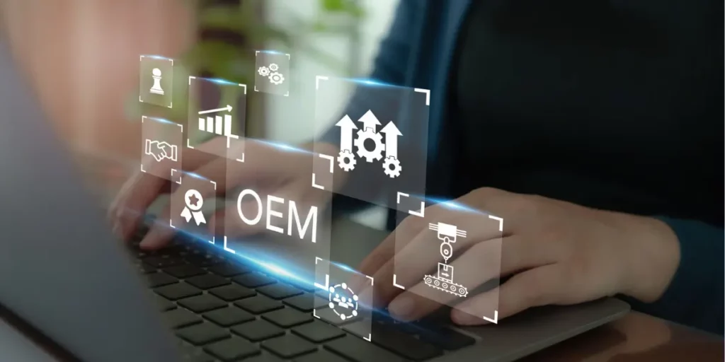 What Are OEMs
