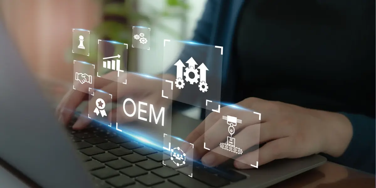 What Are OEMs