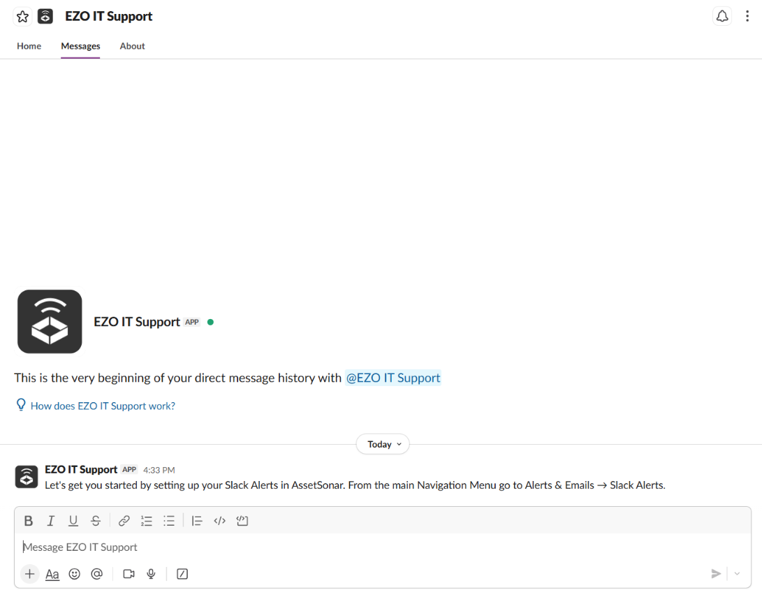 EZO IT Support bot open in Slack with an initial setup message and direct message field.